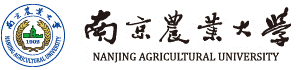 图片上传